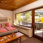 Dachstein 12 By Interhome Flachau