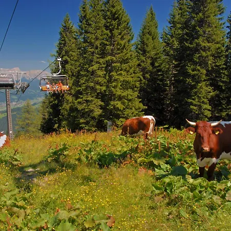 Appartamento Dachstein 12 By Interhome Flachau