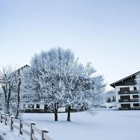 Dachstein 12 By Interhome * Flachau