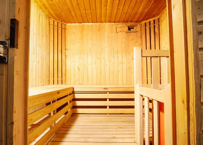 Dachstein 12 By Interhome * Flachau