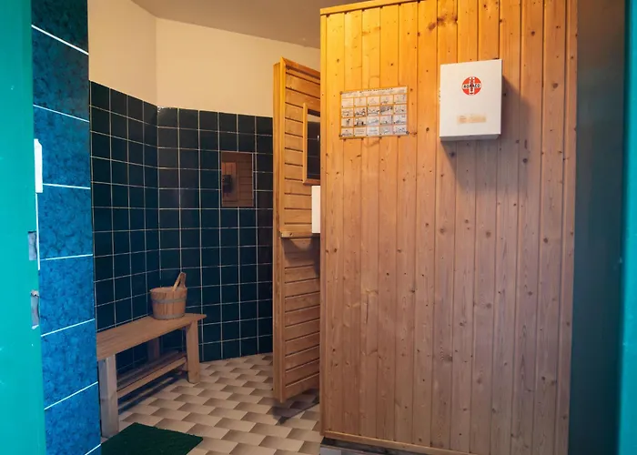 Dachstein 12 By Interhome Flachau