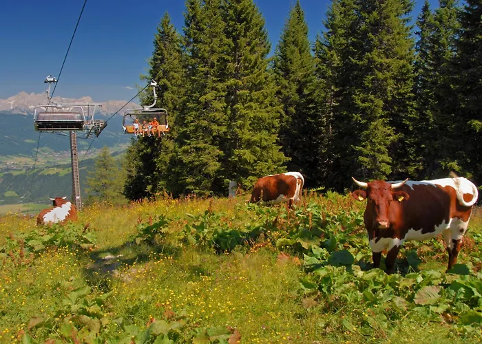 Appartamento Dachstein 12 By Interhome Flachau