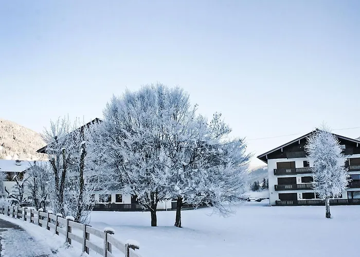 Dachstein 12 By Interhome * Flachau